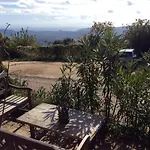 A Tigliola 3*